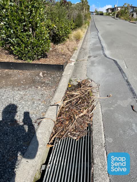 Street Gutters / Storm Water — a report photo
