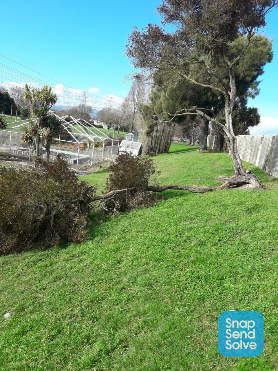 The photograph attached to this fallen tree report