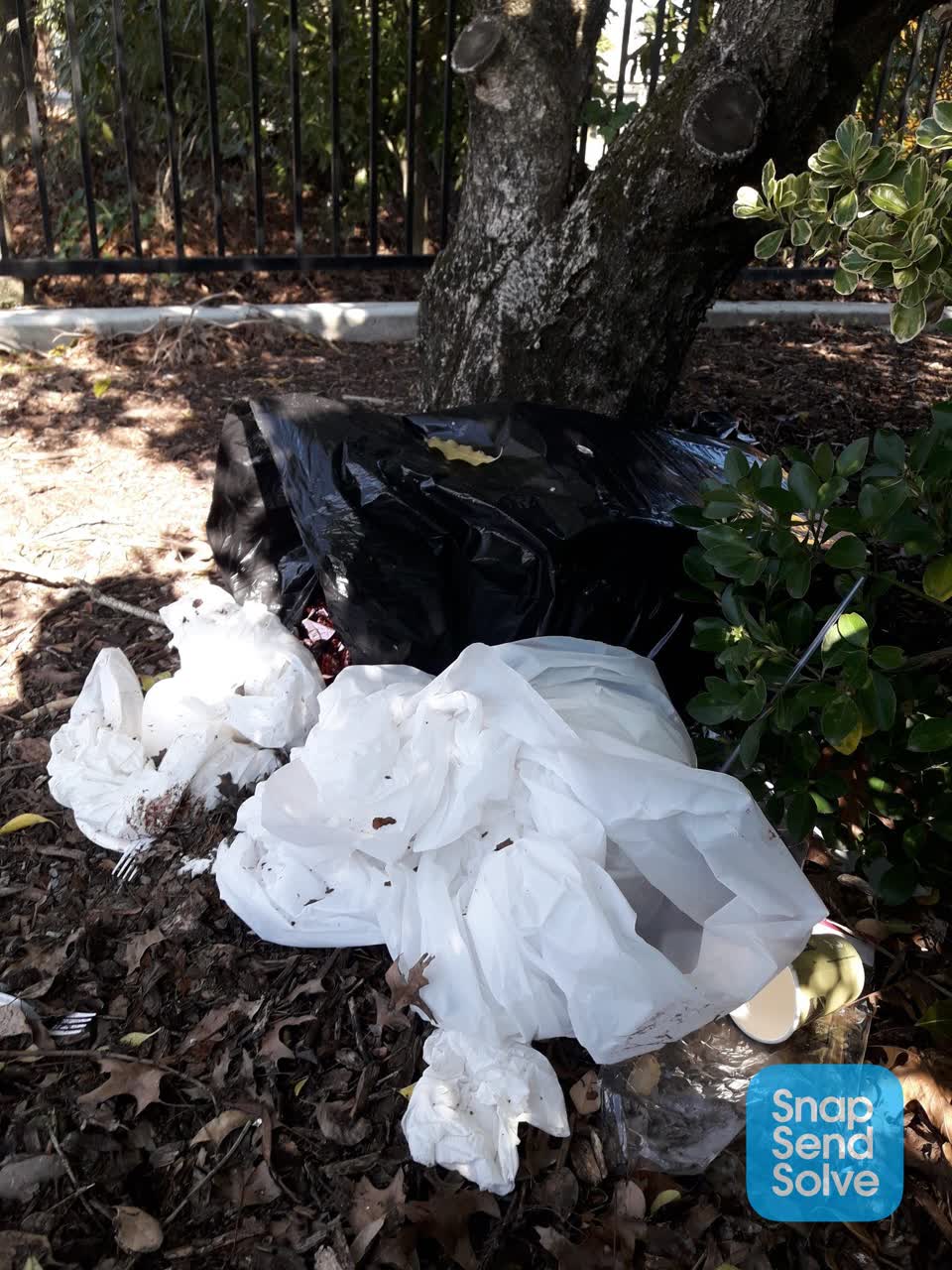 The photograph attached to this park - general request report