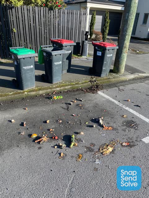 Rubbish and Bins - General, a report photo