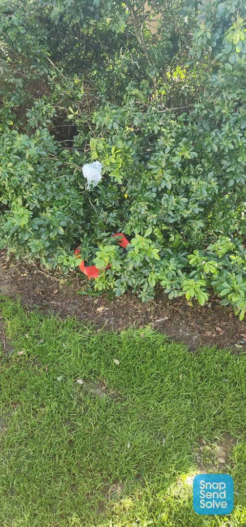 Park - General Request, a report photo