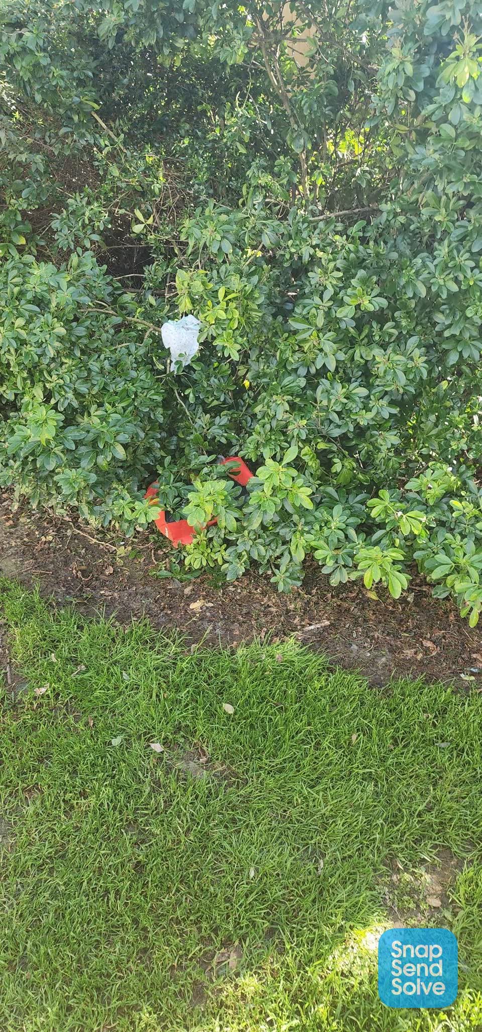 The photograph attached to this park - general request report