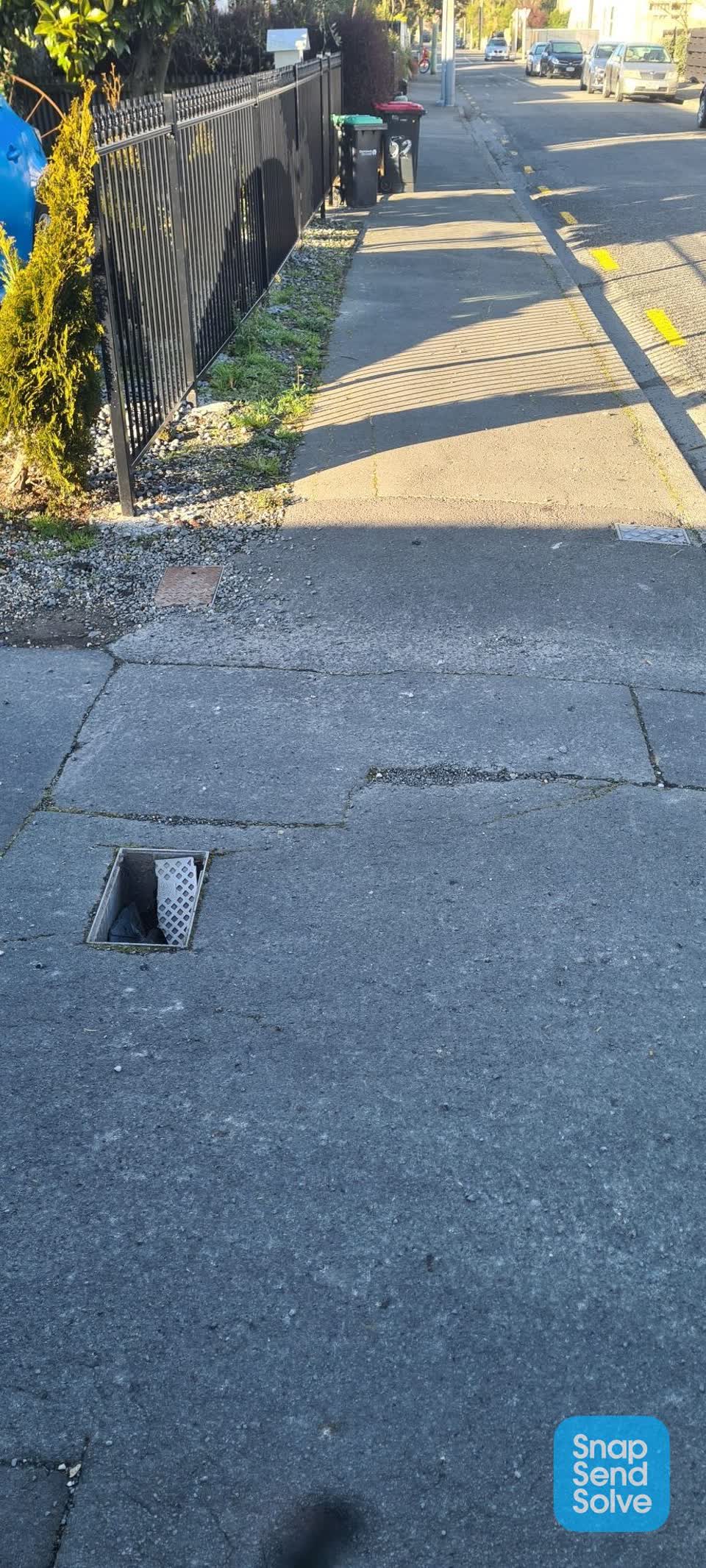 The photograph attached to this pavement - damaged report