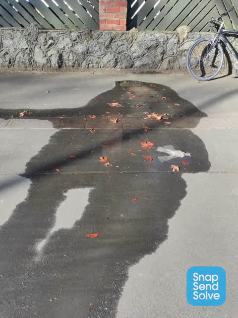 Water Leak, a report photo