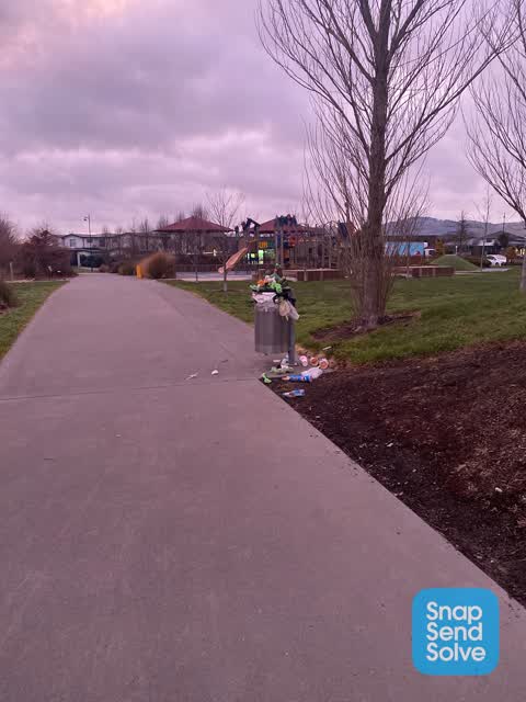 Rubbish and Bins - General — a report photo