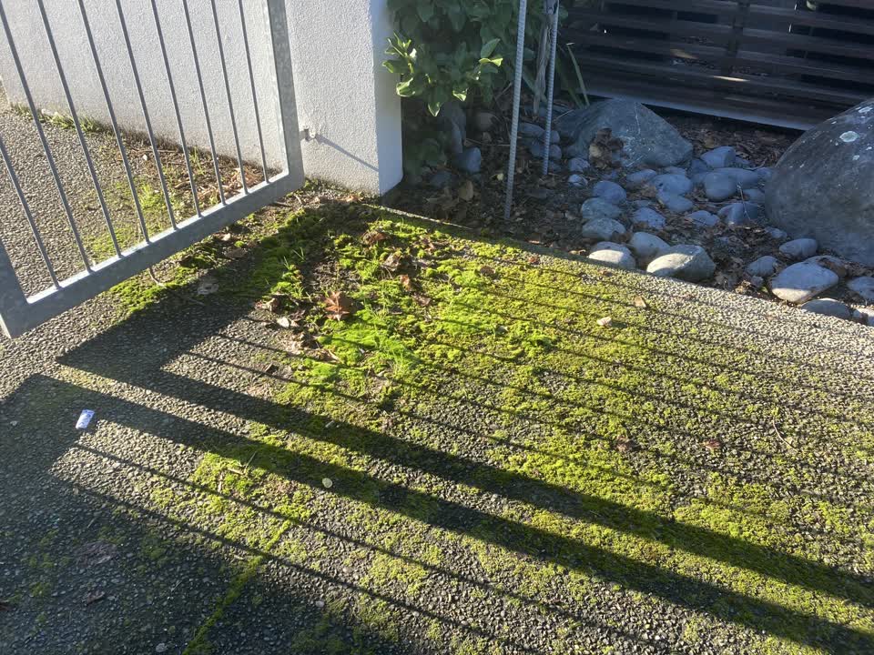 The photograph attached to this overgrown vegetation report