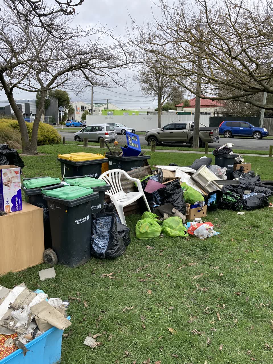 The photograph attached to this rubbish and bins - general report
