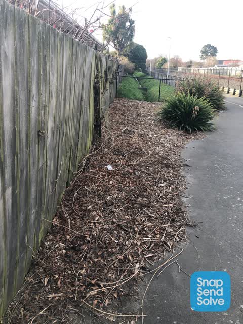 Overgrown Vegetation, a report photo