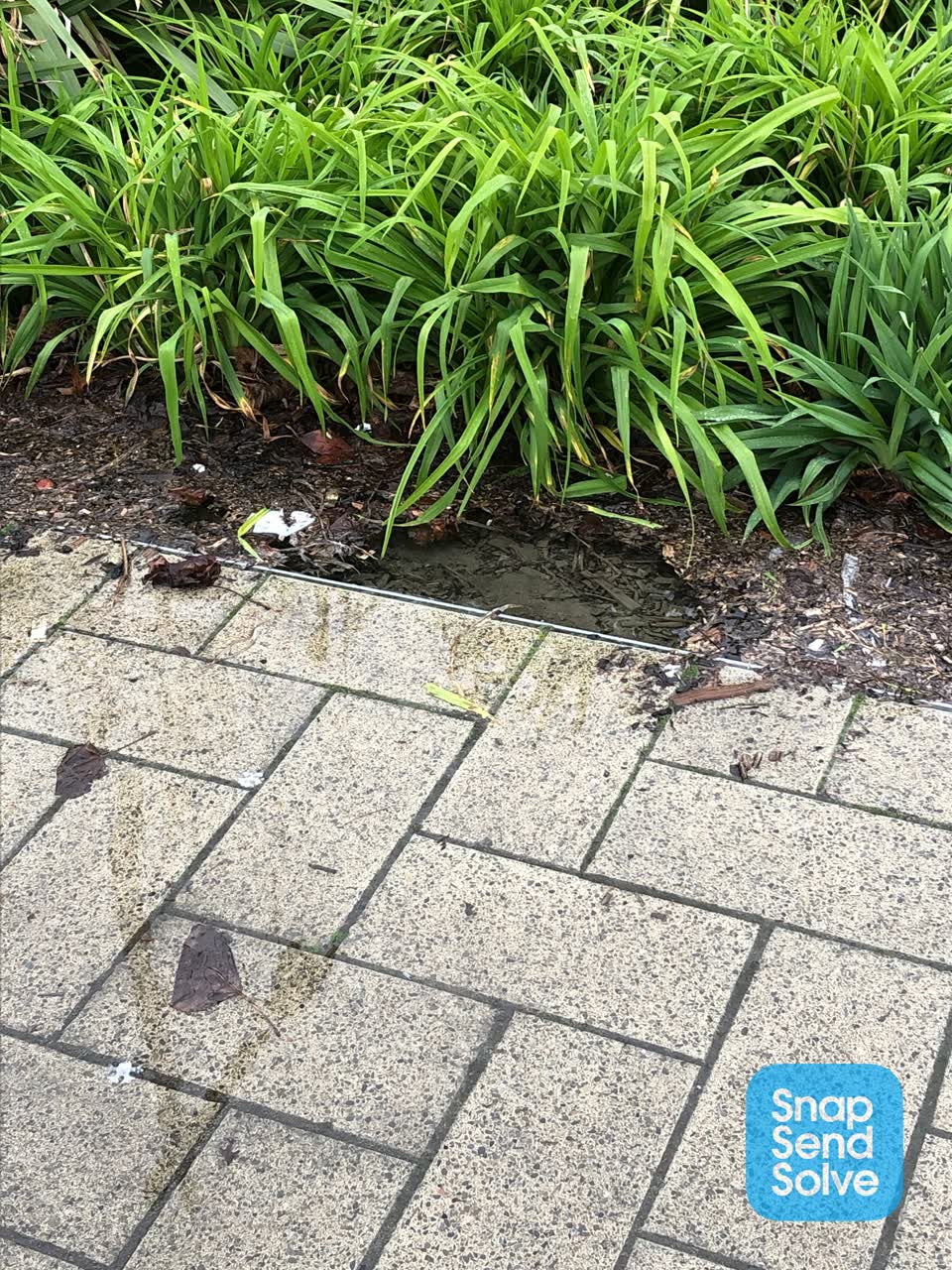 The photograph attached to this pavement - general report
