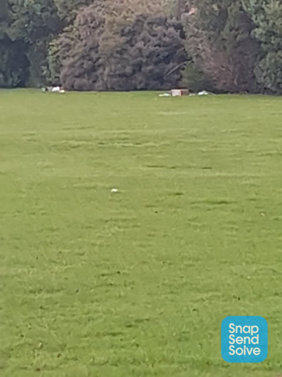 The photograph attached to this dumped rubbish report