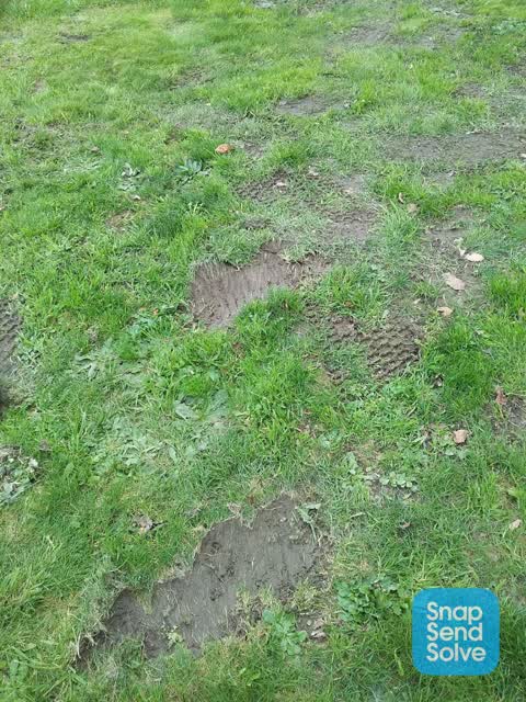 Park - General Request — a report photo