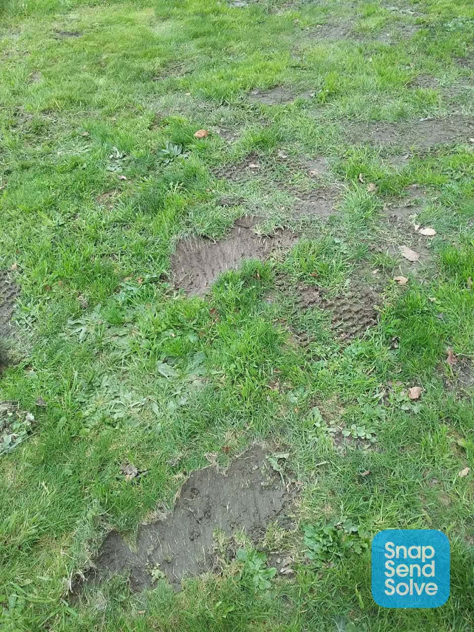 The photograph attached to this park - general request report