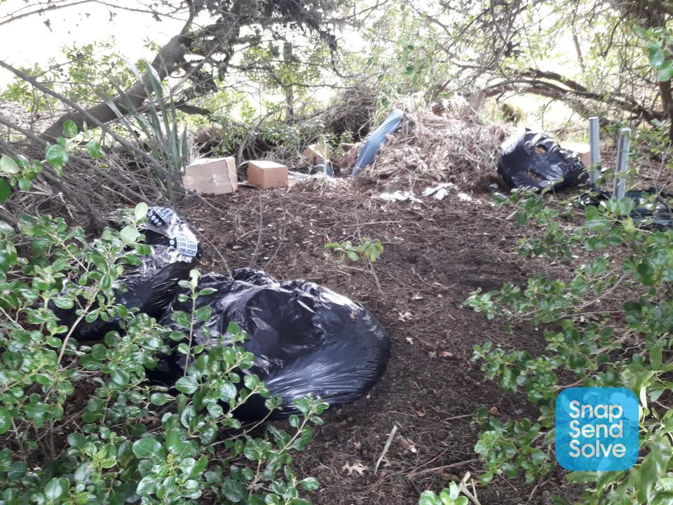 The photograph attached to this rubbish and bins - general report