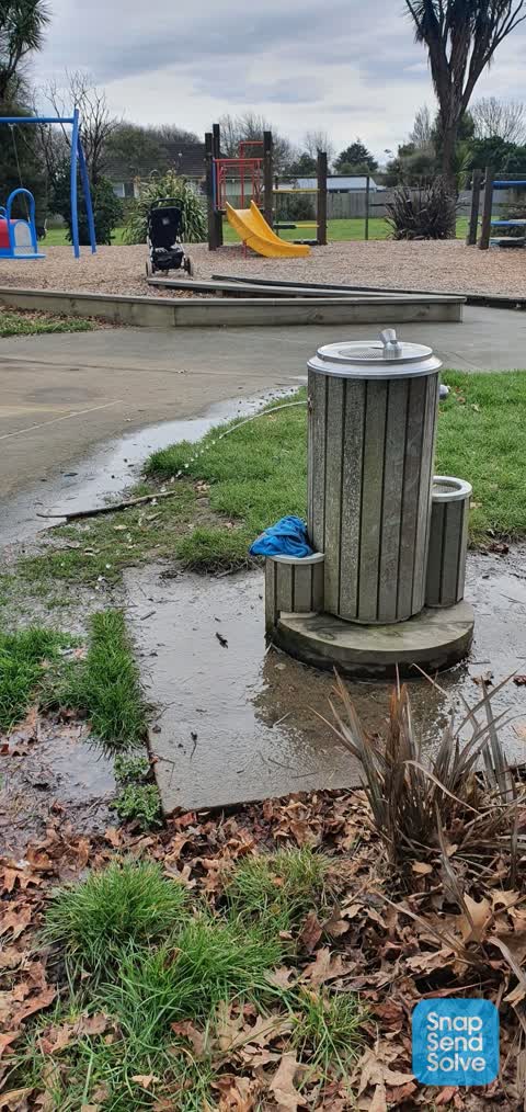 Water Leak, a report photo