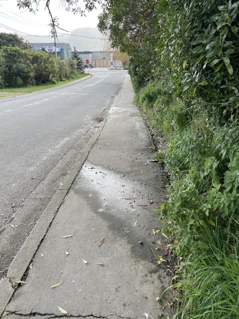 Water Leak, a report photo