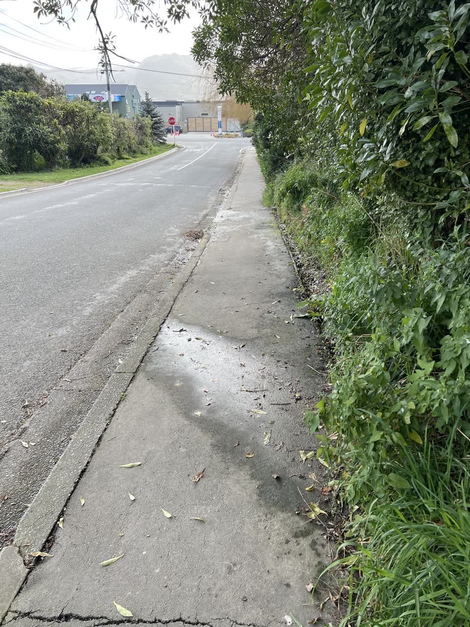 The photograph attached to this water leak report