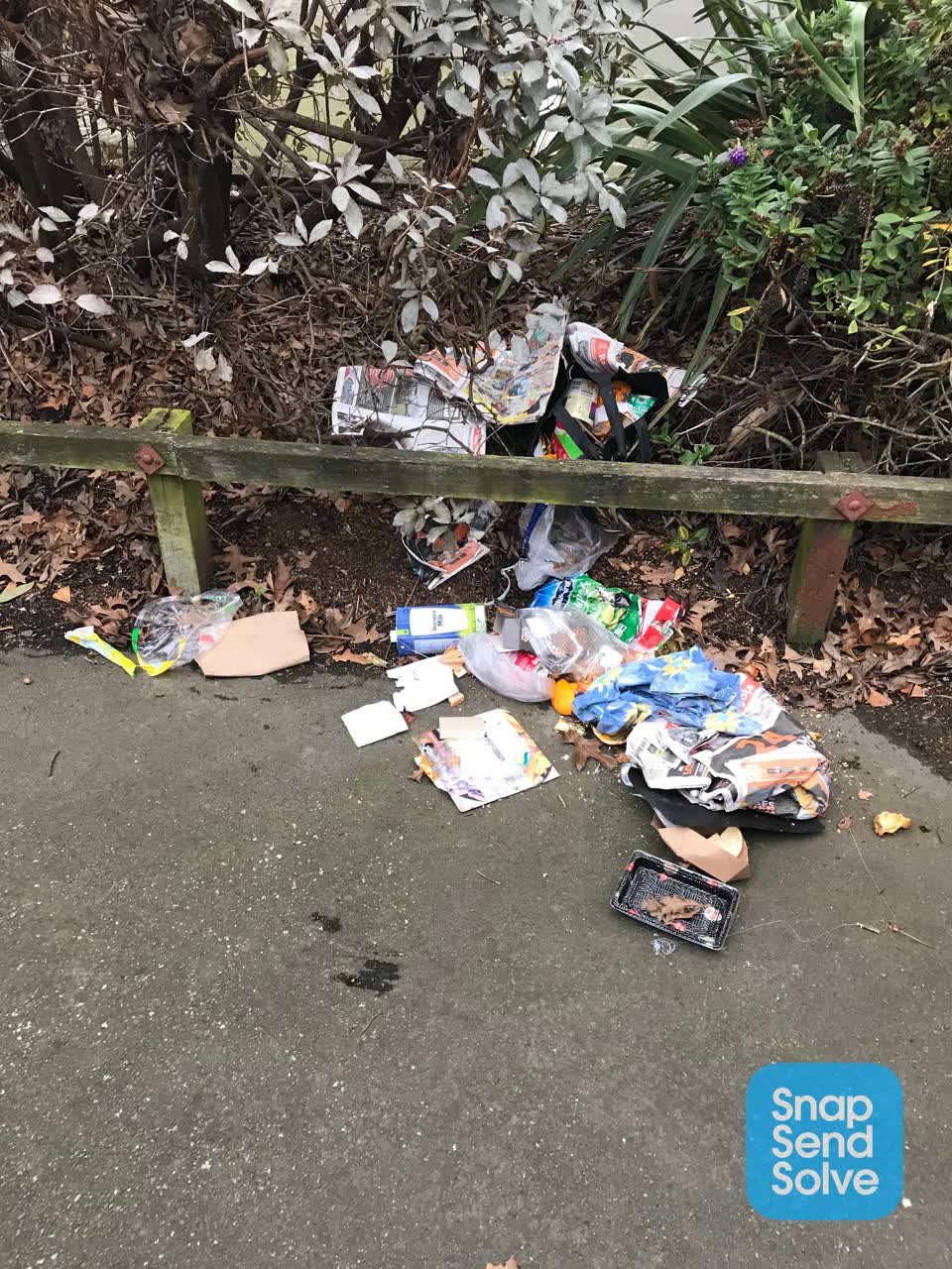 The photograph attached to this dumped rubbish report