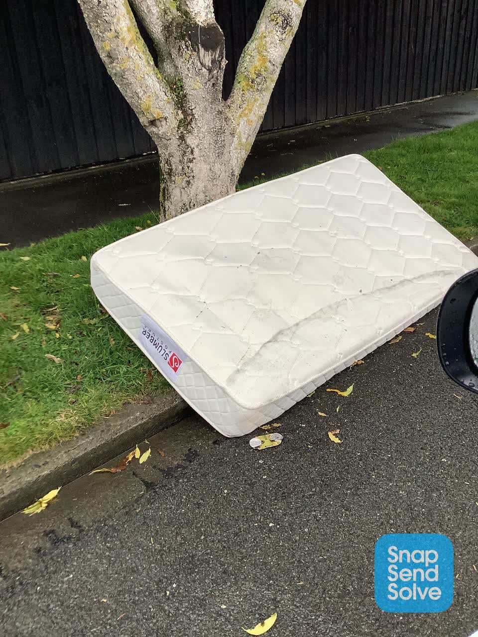 The photograph attached to this rubbish and bins - general report