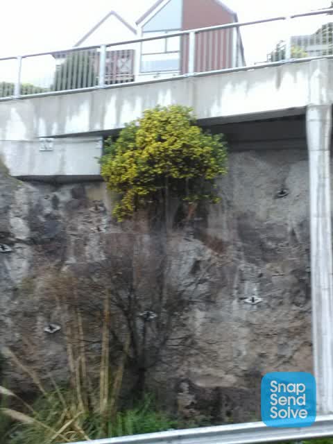 General Request, a report photo