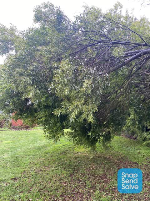 Park - General Request, a report photo
