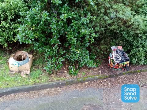 Dumped Rubbish, a report photo