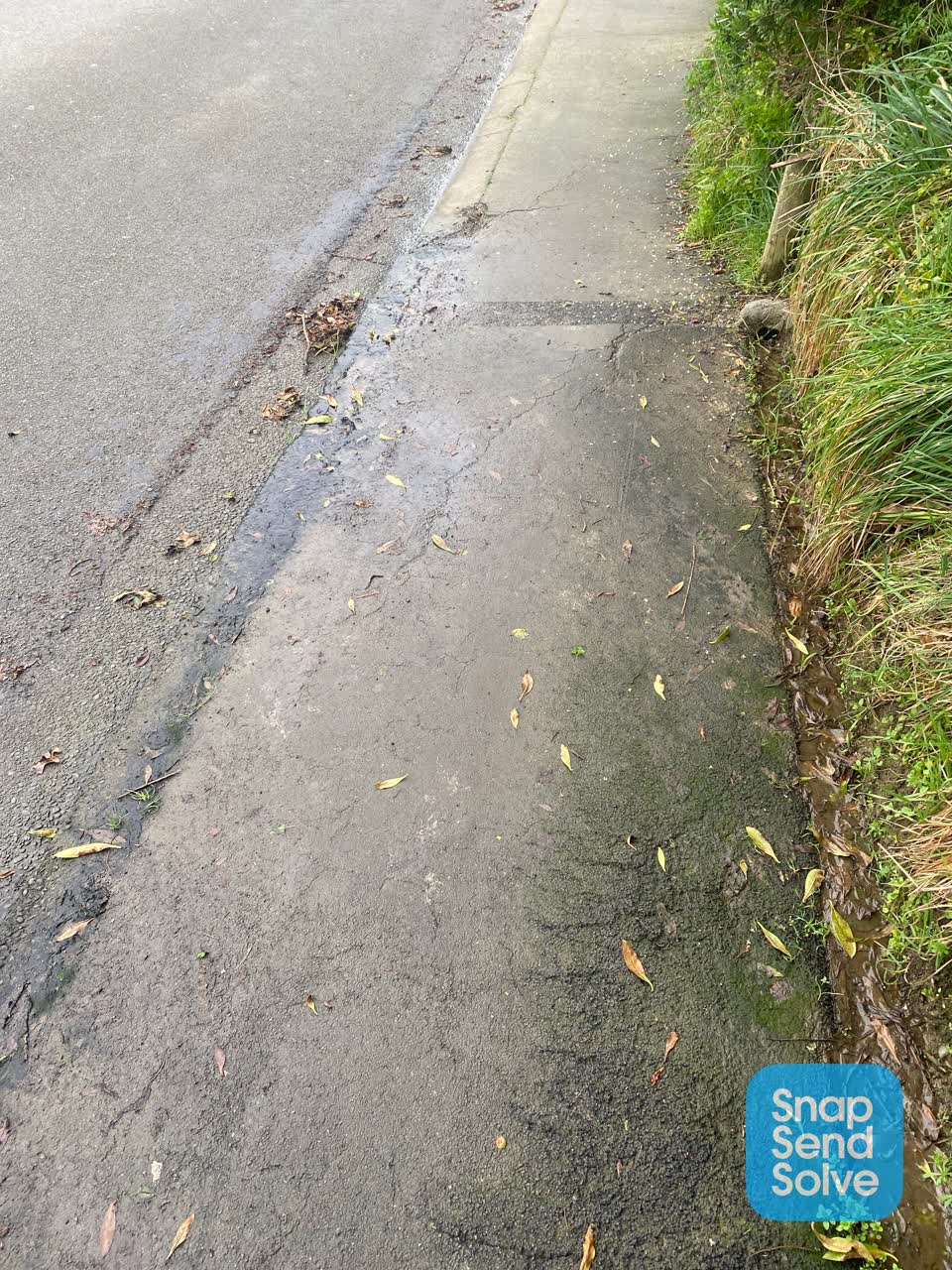 The photograph attached to this pavement - damaged report