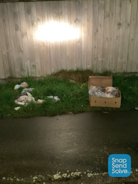 Dumped Rubbish, a report photo