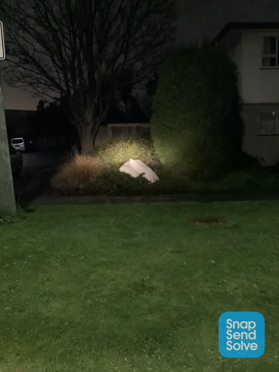 The photograph attached to this dumped rubbish report