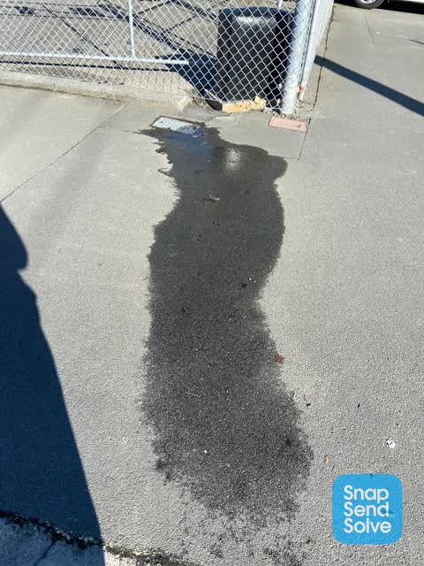Water Leak, a report photo