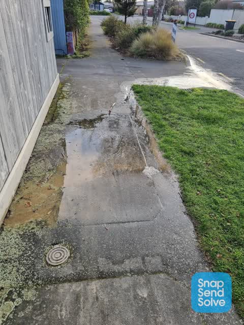 Water Leak, a report photo