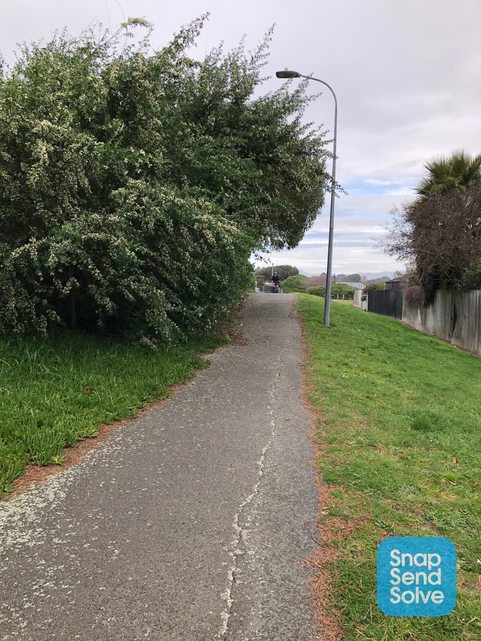 The photograph attached to this overgrown vegetation report