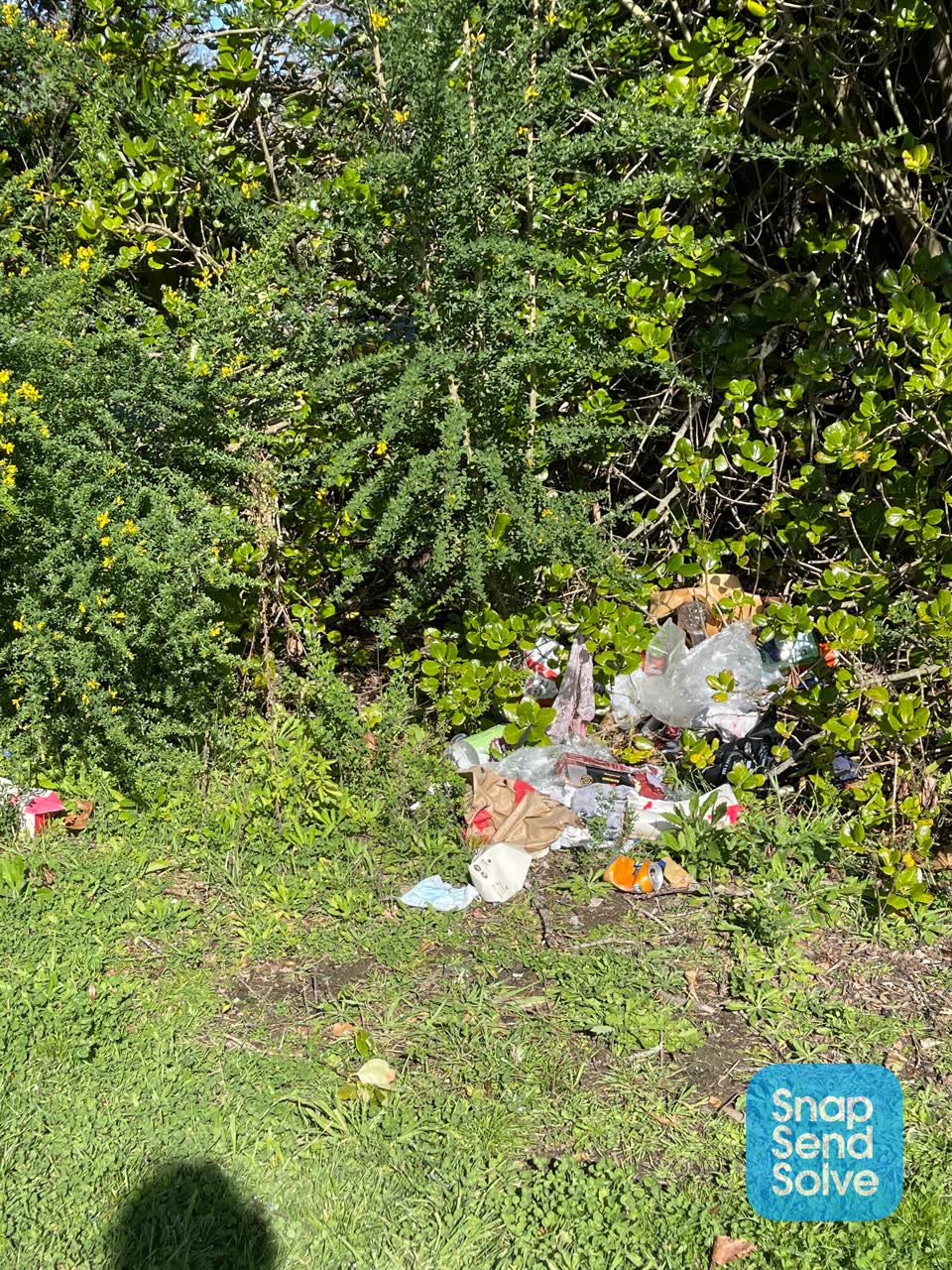 The photograph attached to this dumped rubbish report