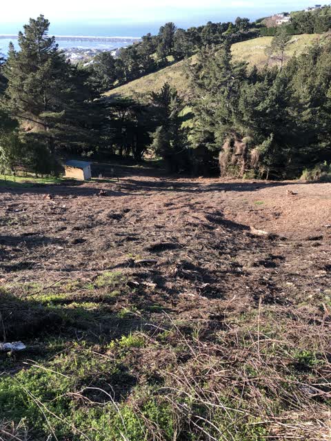 Pollution - General, a report photo