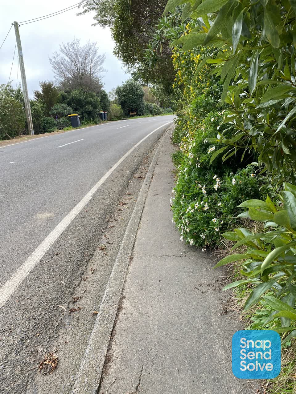 The photograph attached to this overgrown vegetation report