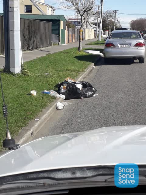 Rubbish and Bins - General, a report photo