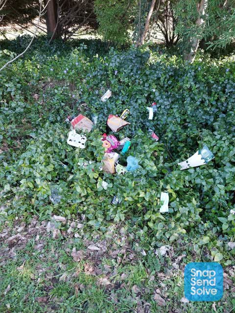 Dumped Rubbish, a report photo