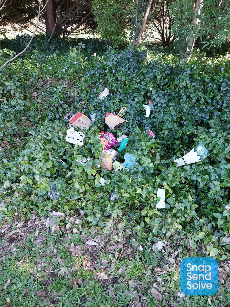 The photograph attached to this dumped rubbish report