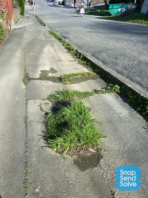 Water Leak, a report photo