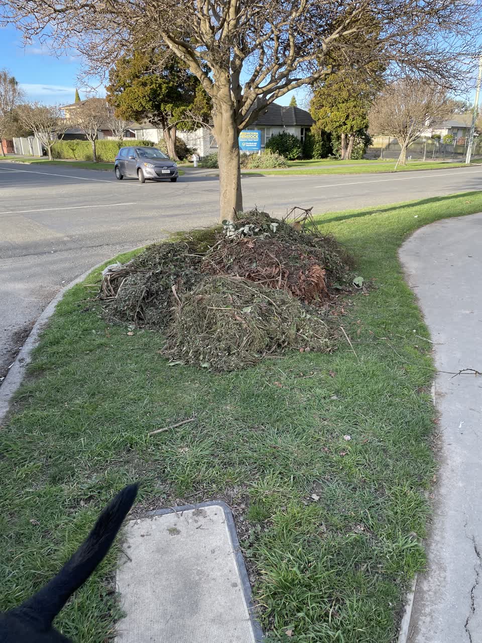 The photograph attached to this dumped rubbish report
