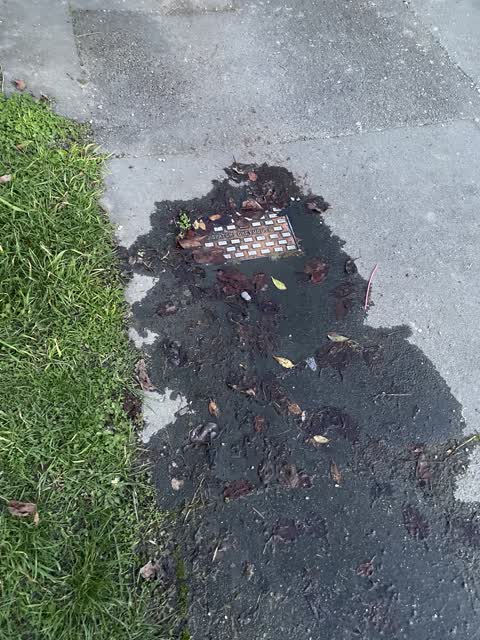 Water Leak, a report photo