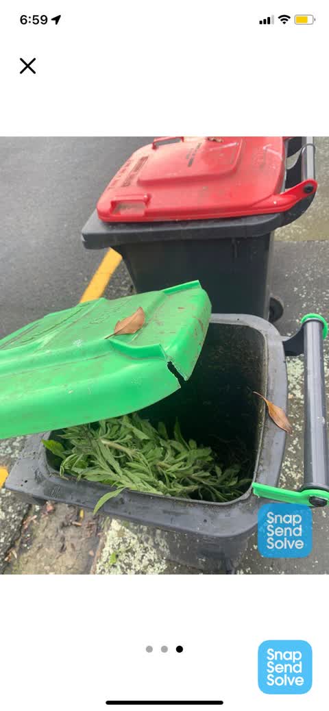 Rubbish and Bins - General, a report photo