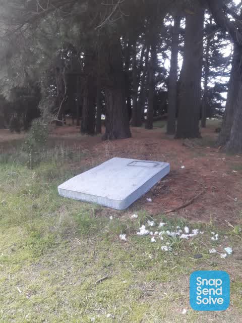 Park - General Request — a report photo