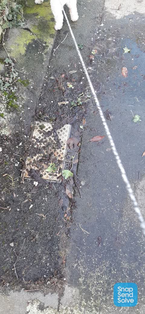 Water Leak, a report photo