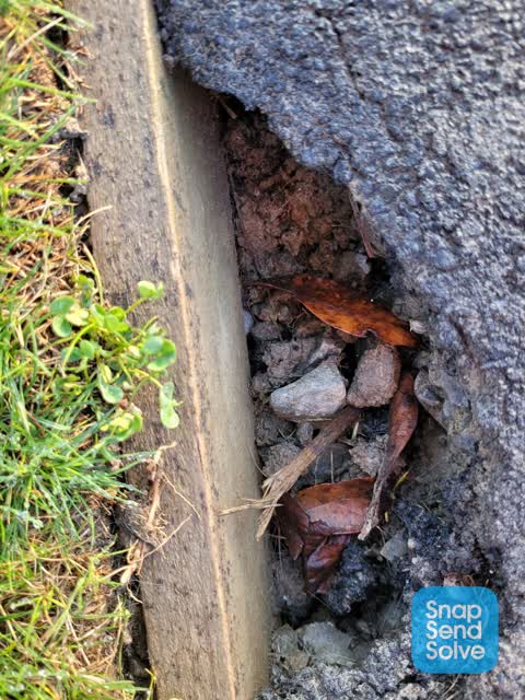 Pavement - Damaged, a report photo