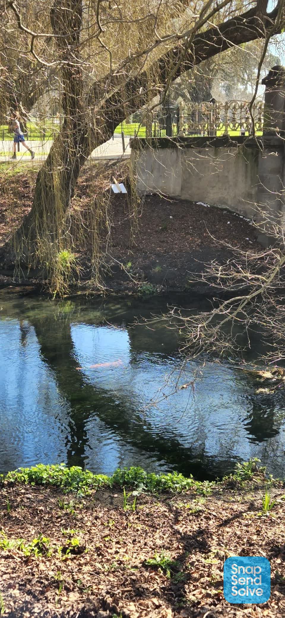 The photograph attached to this litter report