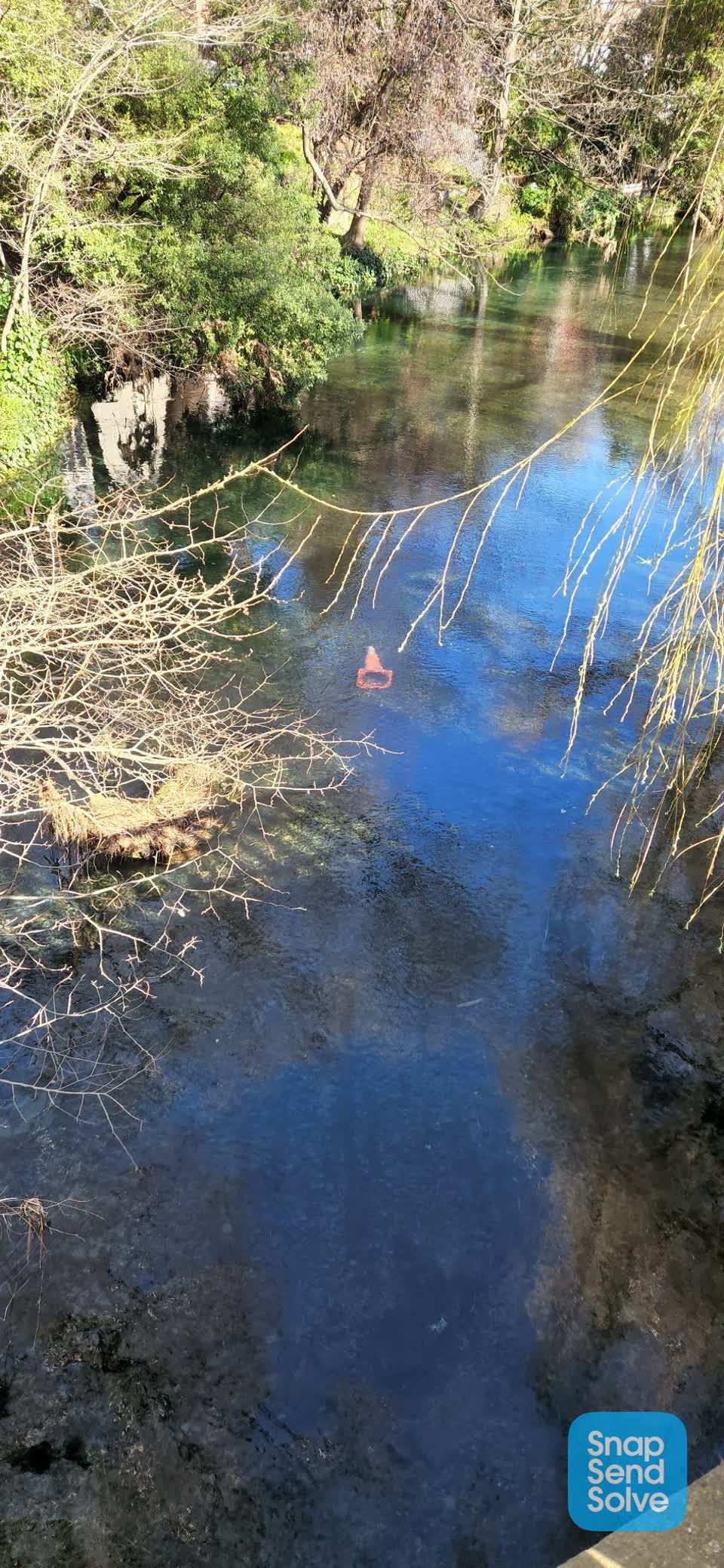 The photograph attached to this litter report