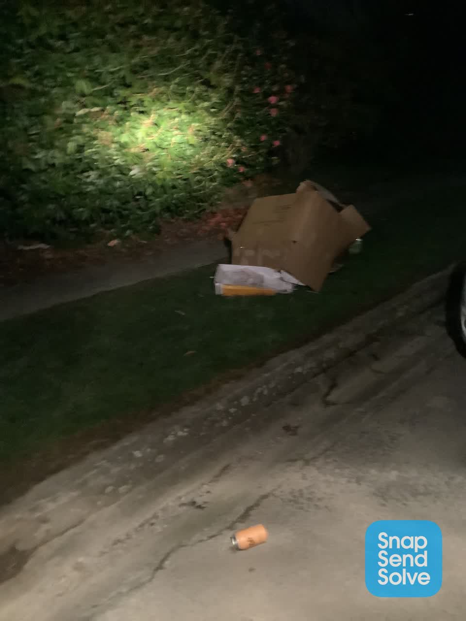 The photograph attached to this dumped rubbish report