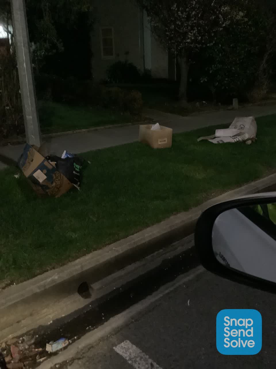 The photograph attached to this rubbish and bins - general report