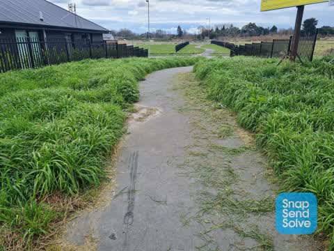 Overgrown Vegetation, a report photo