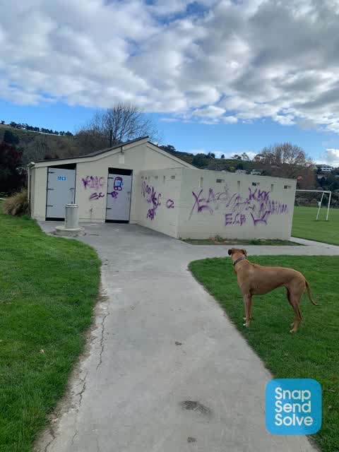 Graffiti — a report photo